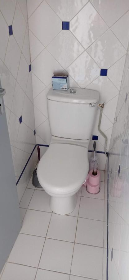 2 Chambres Et Salle De Bain Un Oasis De Bien Etre Piscine Et Jardin Direct Gare Aeroport Toulouse Exterior photo
