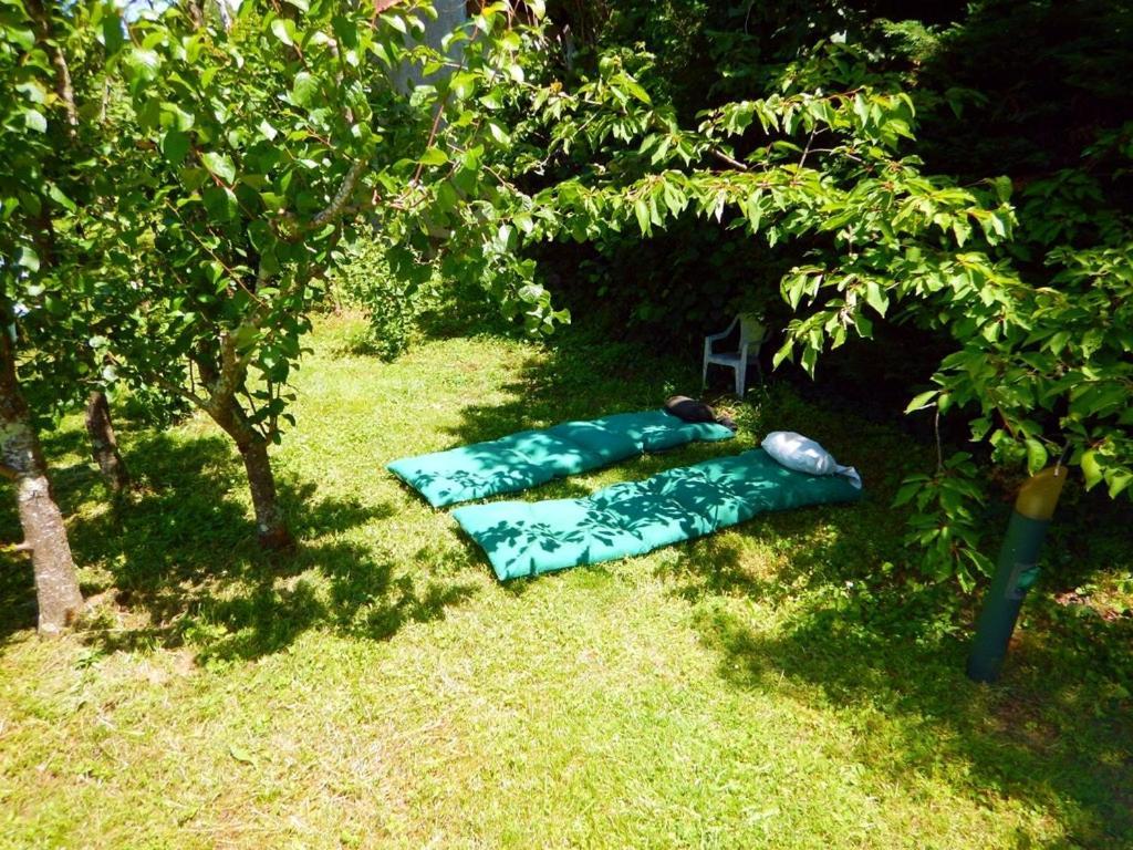 2 Chambres Et Salle De Bain Un Oasis De Bien Etre Piscine Et Jardin Direct Gare Aeroport Toulouse Exterior photo